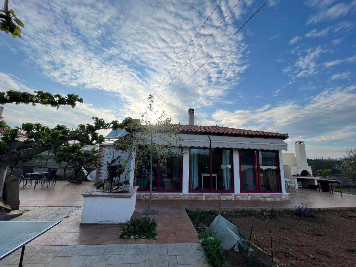 Country Lux Apartment Near Airport Markópoulon Dış mekan fotoğraf